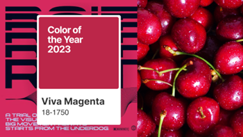 2023 Yılının Pantone Rengi: Viva Magenta